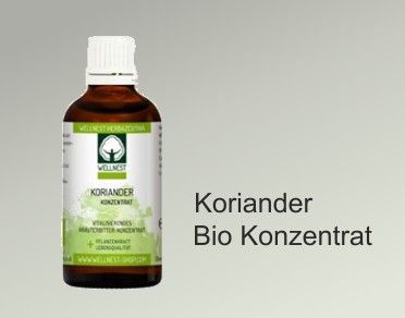 Koriander Bio Konzentrat